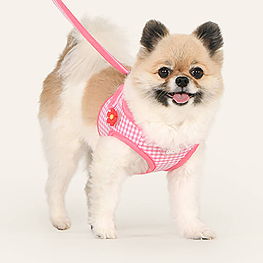 CLİCK & CLİP CHARM HARNESS/PINK - 5