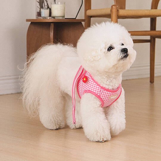 CLİCK & CLİP CHARM HARNESS/PINK - 6
