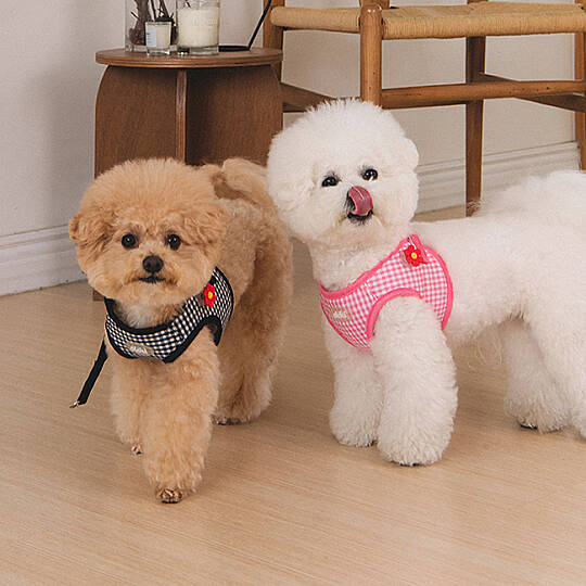 CLİCK & CLİP CHARM HARNESS/PINK - 7