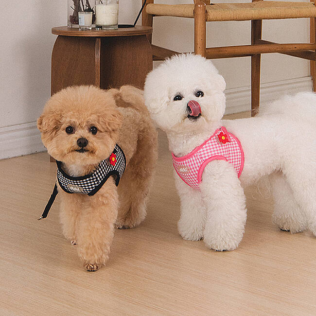 CLİCK & CLİP CHARM HARNESS/PINK - 7