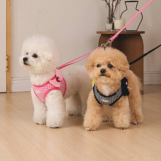 CLİCK & CLİP CHARM HARNESS/PINK - 8