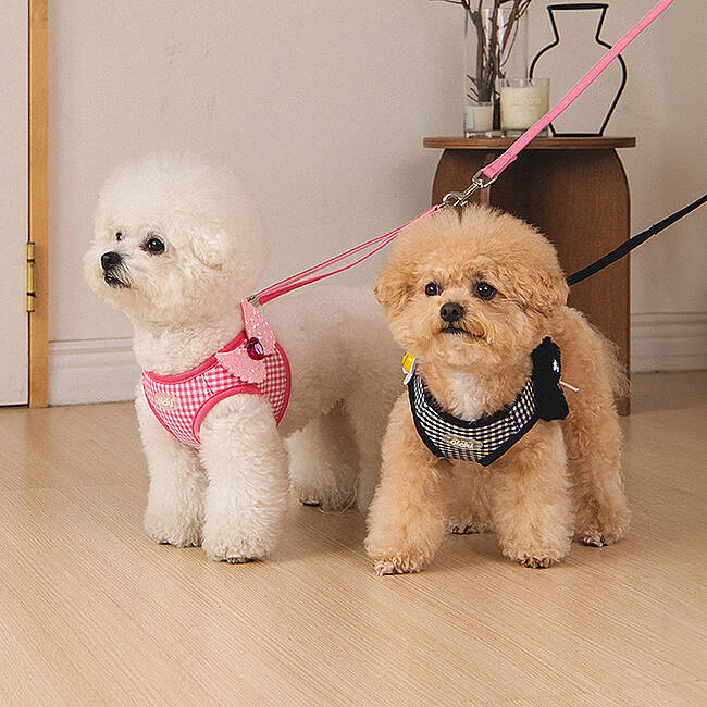 CLİCK & CLİP CHARM HARNESS/PINK - 8