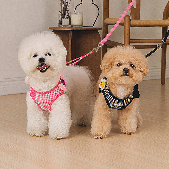 CLİCK & CLİP CHARM HARNESS/PINK - 9
