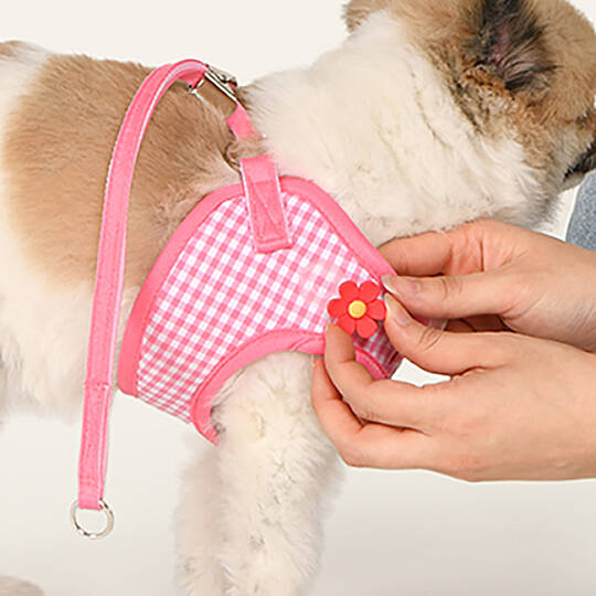 CLİCK & CLİP CHARM HARNESS/PINK - 10