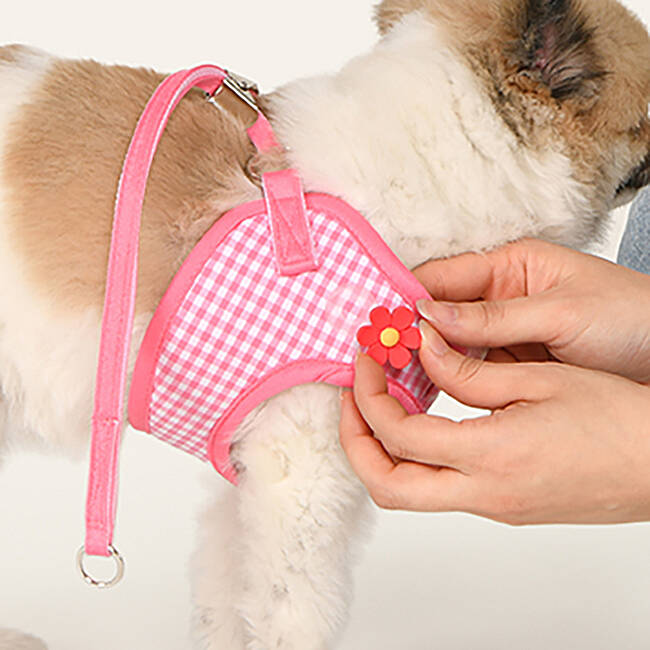 CLİCK & CLİP CHARM HARNESS/PINK - 10