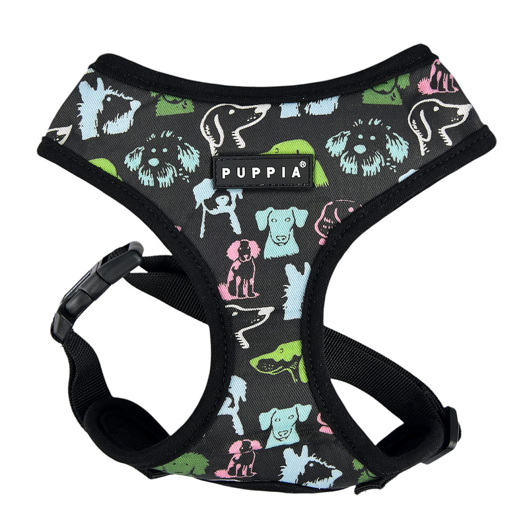 CONNOR HARNESS A / BLACK - 1