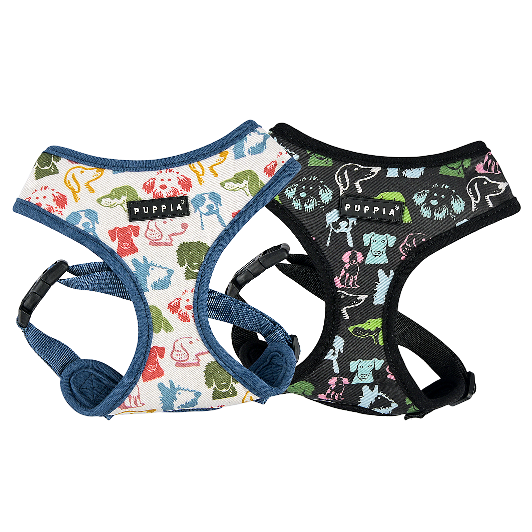 CONNOR HARNESS A / BLUE - 6