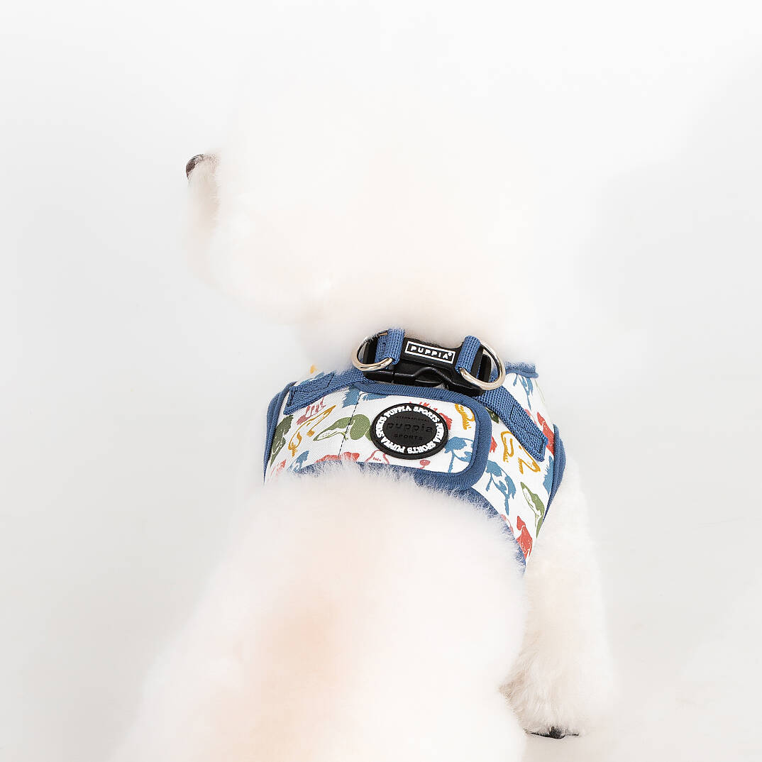 CONNOR HARNESS B / BLUE - 6