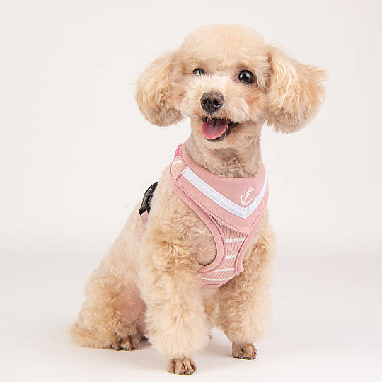 CORDELIA HARNESS / INDIAN PINK - 6