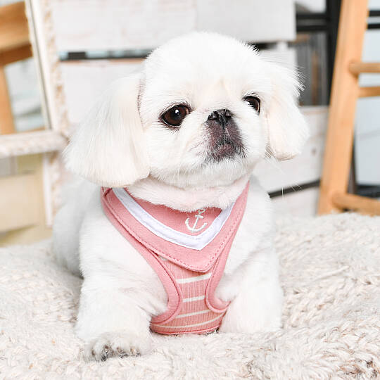CORDELIA HARNESS / INDIAN PINK - 7