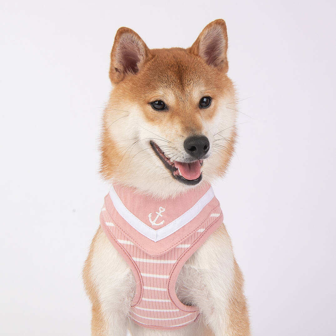 CORDELIA HARNESS / INDIAN PINK - 8