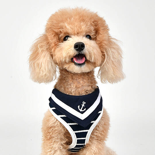 CORDELIA HARNESS / NAVY - 6