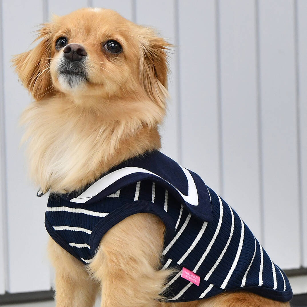 CORDELIA / NAVY - 6