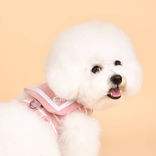CORDELIA PINKA HARNESS / INDIAN PINK - 6