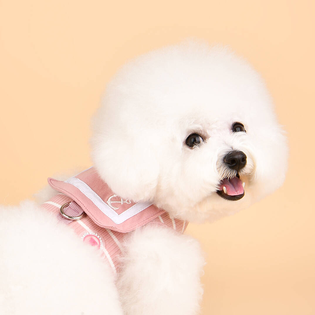 CORDELIA PINKA HARNESS / INDIAN PINK - 6