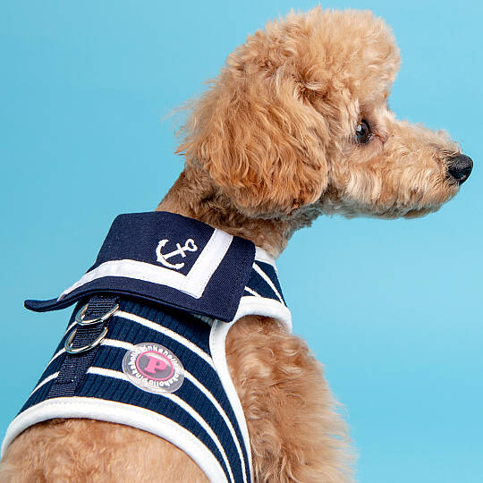 CORDELIA PINKA HARNESS / NAVY - 6