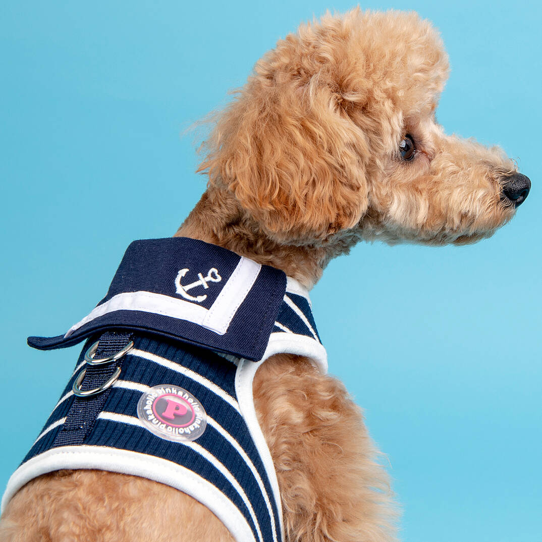 CORDELIA PINKA HARNESS / NAVY - 6