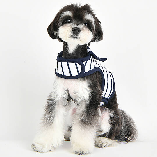 CORDELIA PINKA HARNESS / OFF WHITE - 6
