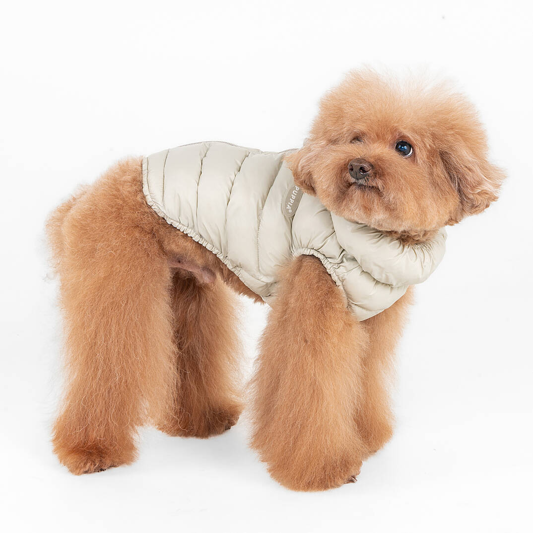 COTTON CANDY PADDING VEST / IVORY - 5