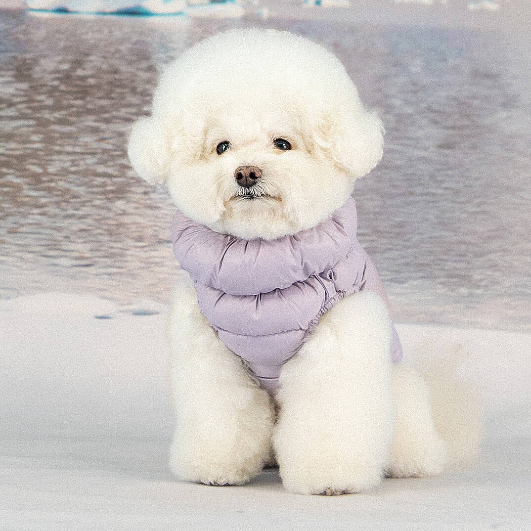 COTTON CANDY PADDING VEST / PURPLE - 5