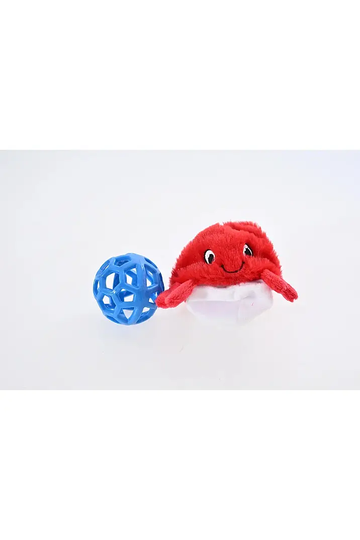 CRABBY YENGEÇ OYUNCAK 2 IN 1 - 3