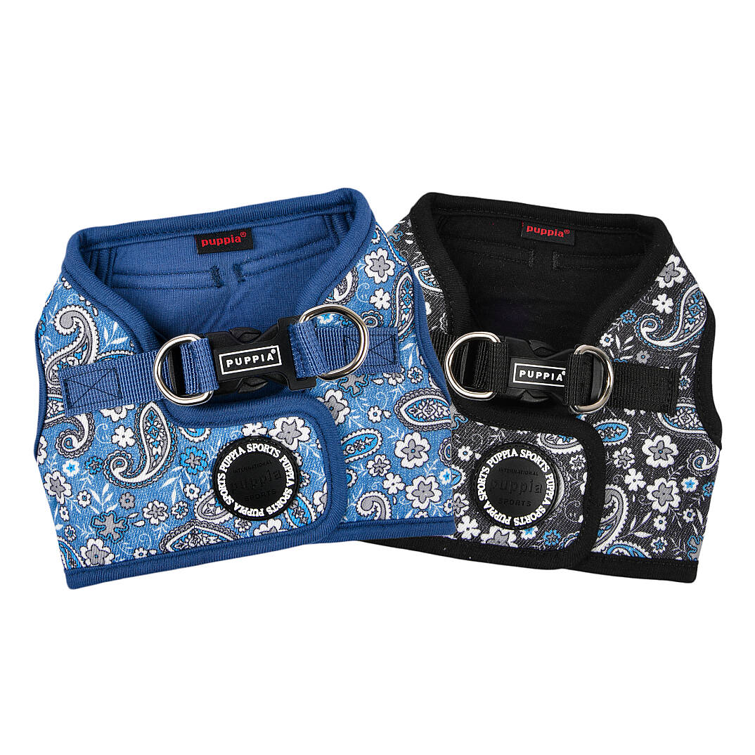 CYNTHIA HARNESS B PAZA-HB2181-BK - 6
