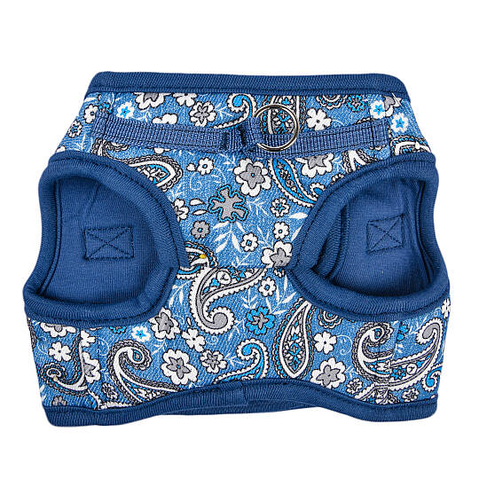 CYNTHIA HARNESS B PAZA-HB2181-BL - 2