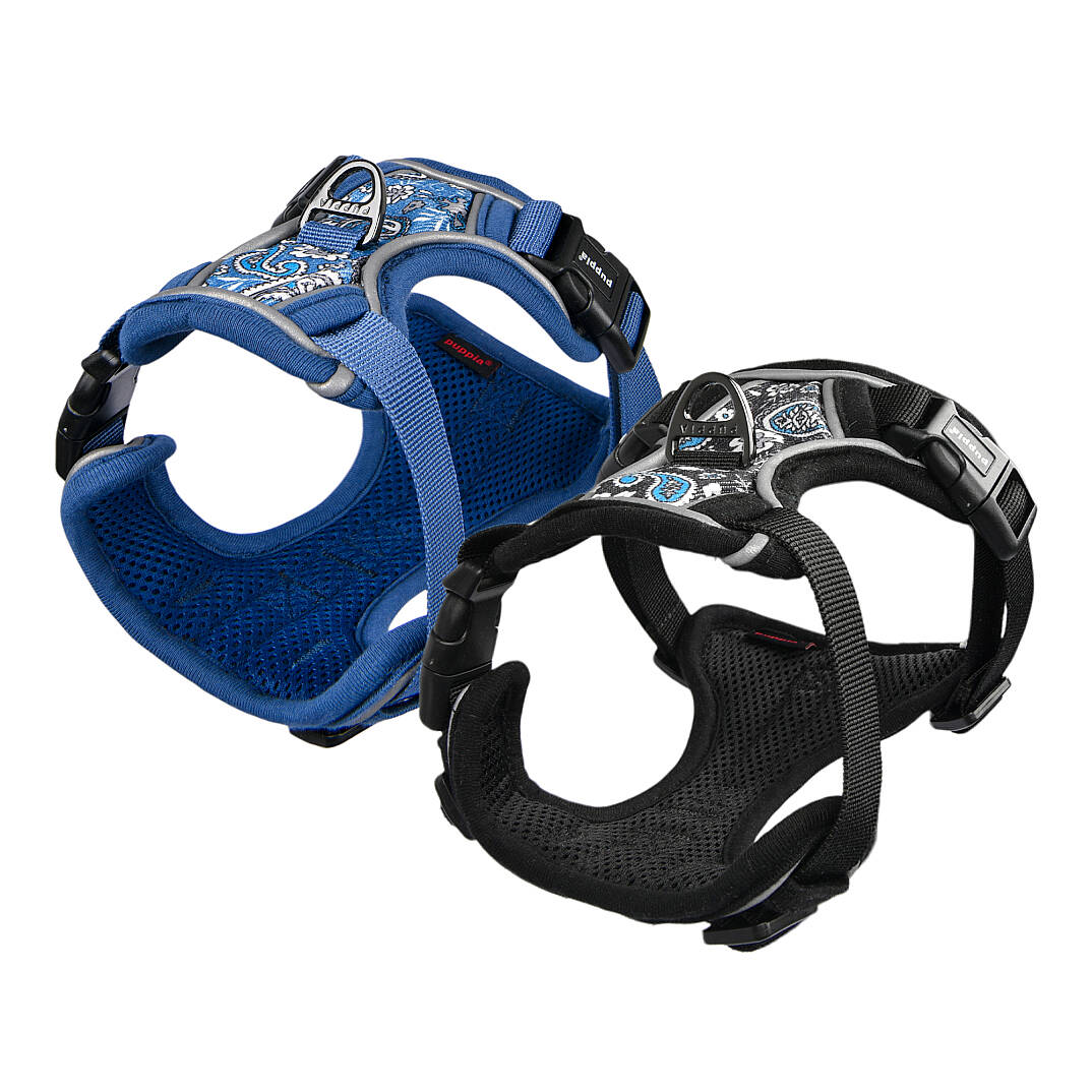 CYNTHIA HARNESS H PAZA-HH2181-BK - 7