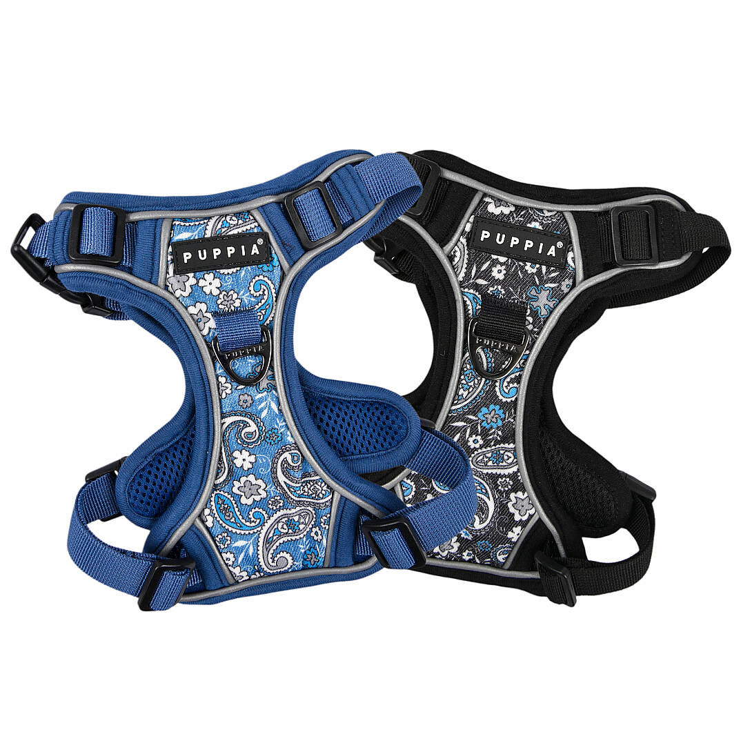 CYNTHIA HARNESS H PAZA-HH2181-BK - 8