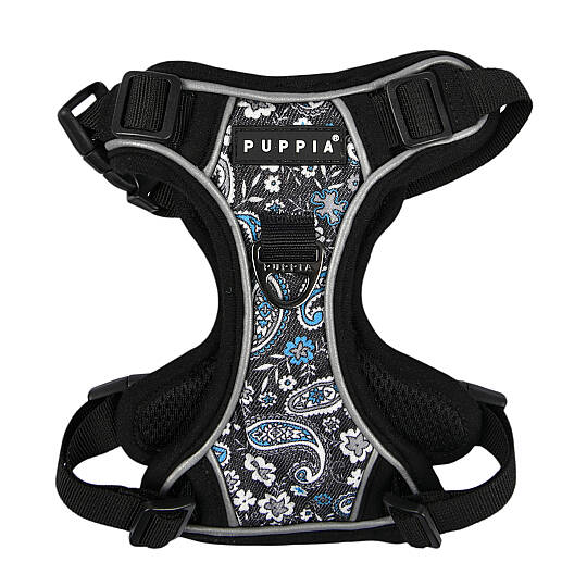 CYNTHIA HARNESS H PAZA-HH2181-BK