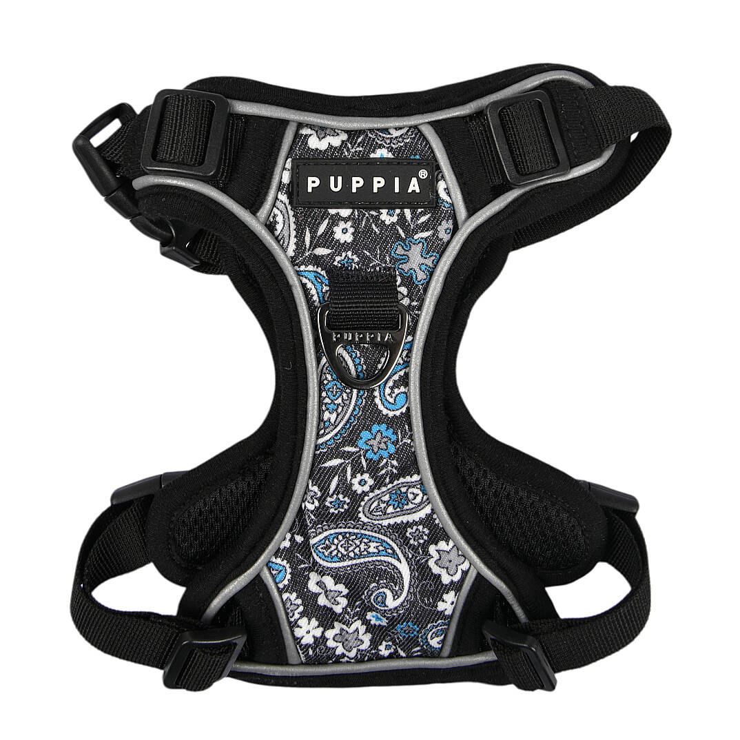CYNTHIA HARNESS H PAZA-HH2181-BK - 1
