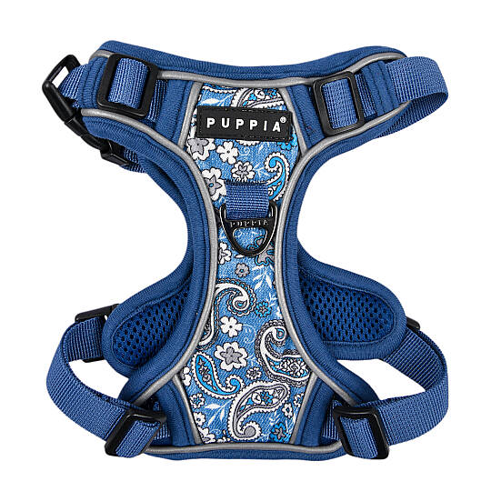 CYNTHIA HARNESS H PAZA-HH2181-BL