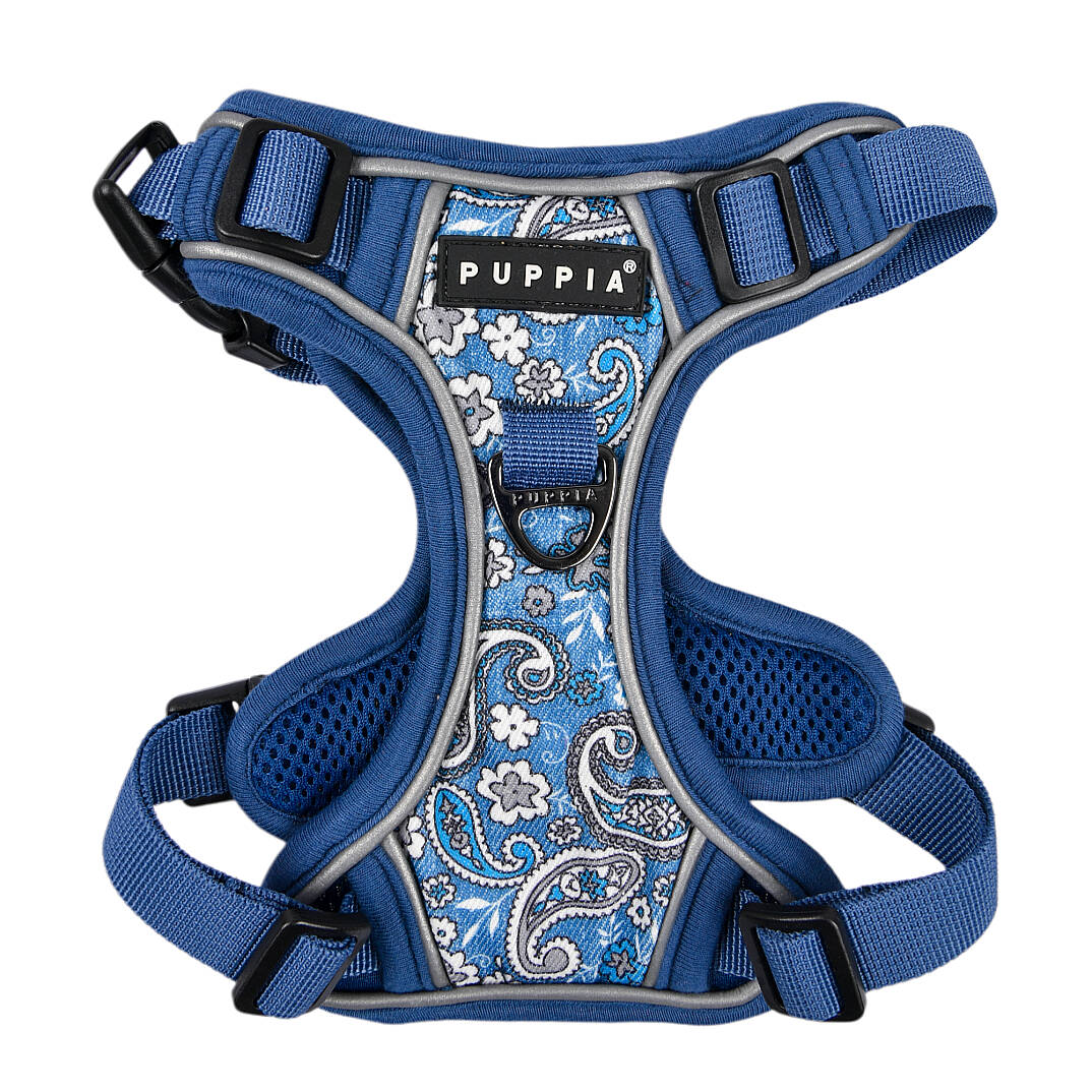 CYNTHIA HARNESS H PAZA-HH2181-BL - 1