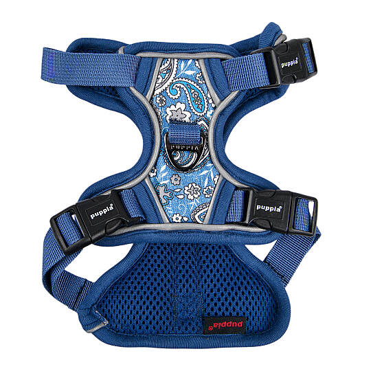 CYNTHIA HARNESS H PAZA-HH2181-BL - 2