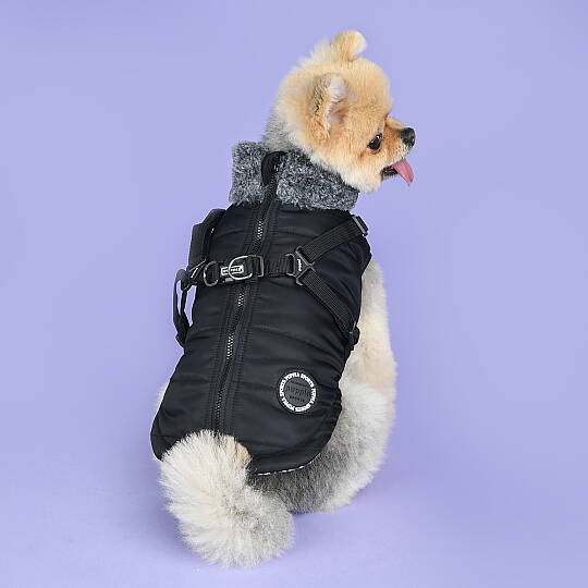 DONAVAN / BLACK - 8