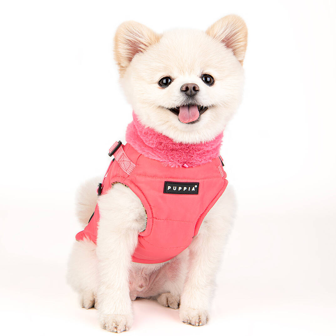 DONAVAN / PINK - 7