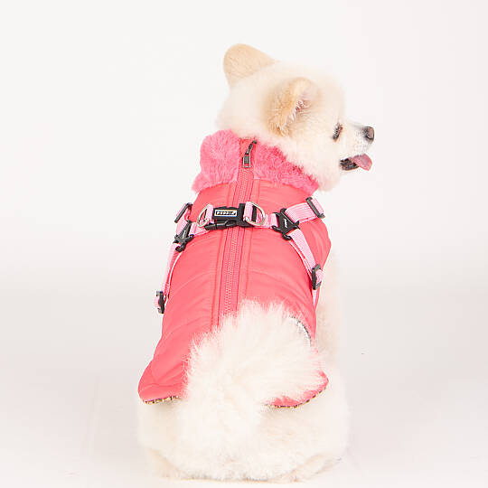 DONAVAN / PINK - 8