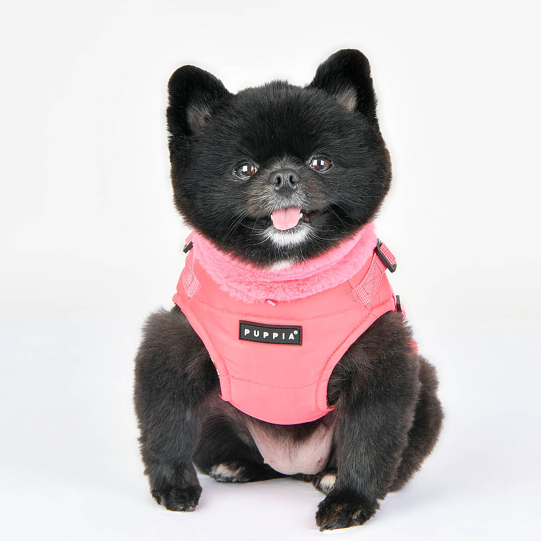 DONAVAN / PINK - 9