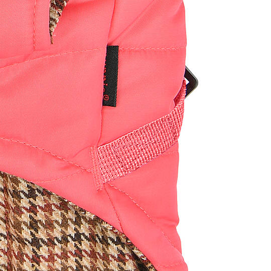 DONAVAN / PINK - 6