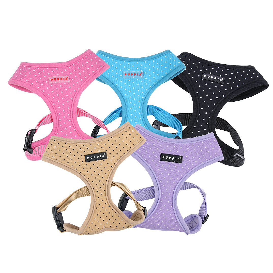 DOTTY HARNESS A / VIOLET - 6