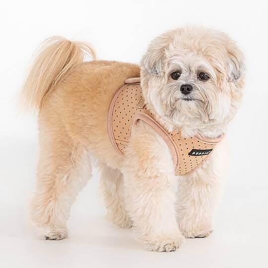 DOTTY HARNESS B / BEIGE - 5