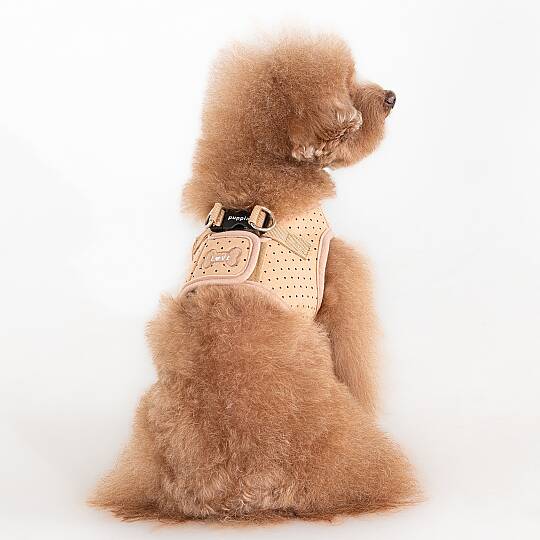 DOTTY HARNESS B / BEIGE - 6