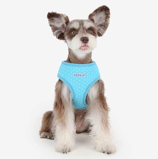 DOTTY HARNESS B PAHA-AC301-SB - 2