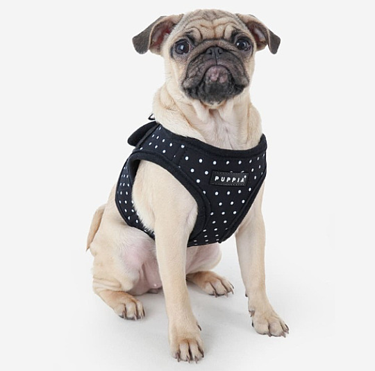 DOTTY HARNESS B PAHA-AH301-BK - 2