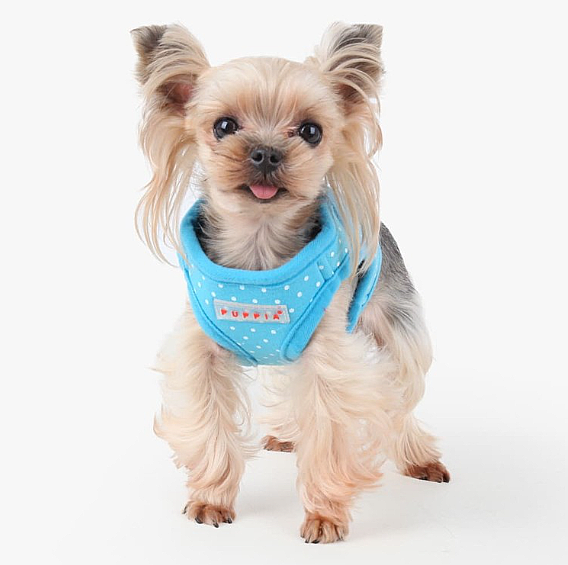 DOTTY HARNESS B PAHA-AH301-SB - 2