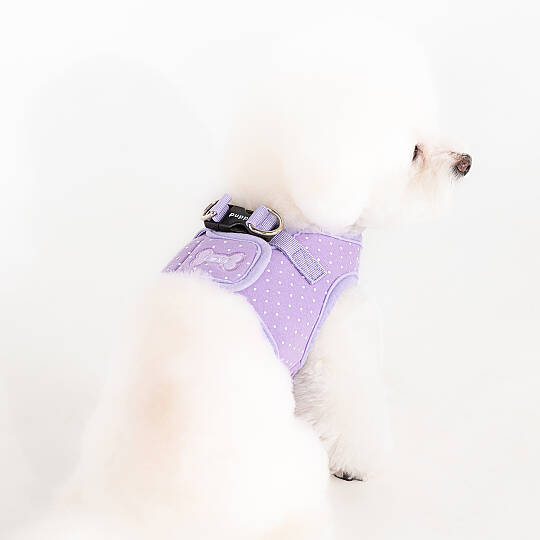 DOTTY HARNESS B / VIOLET - 6