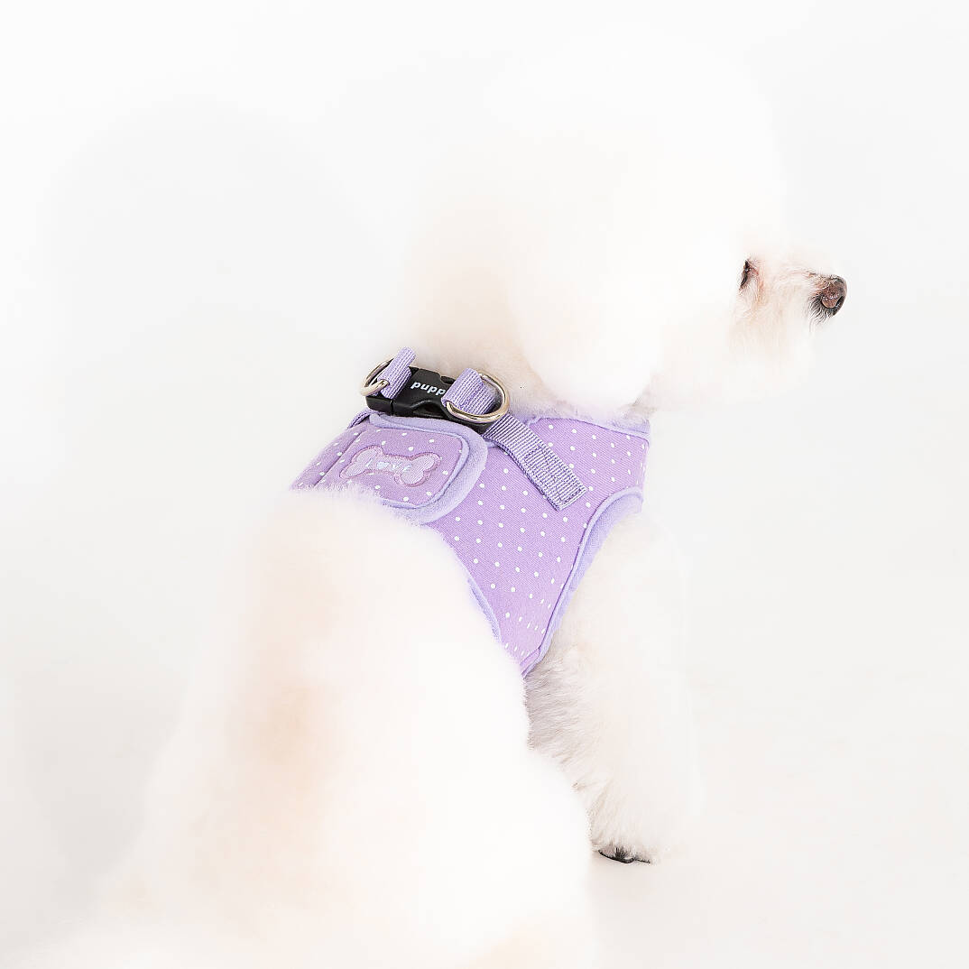 DOTTY HARNESS B / VIOLET - 6