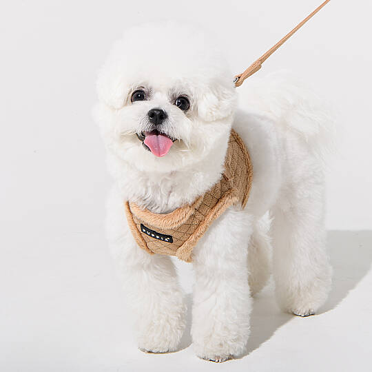 DOUGLAS HARNESS B/BEIGE/PAYD-HB2137-BE - 4