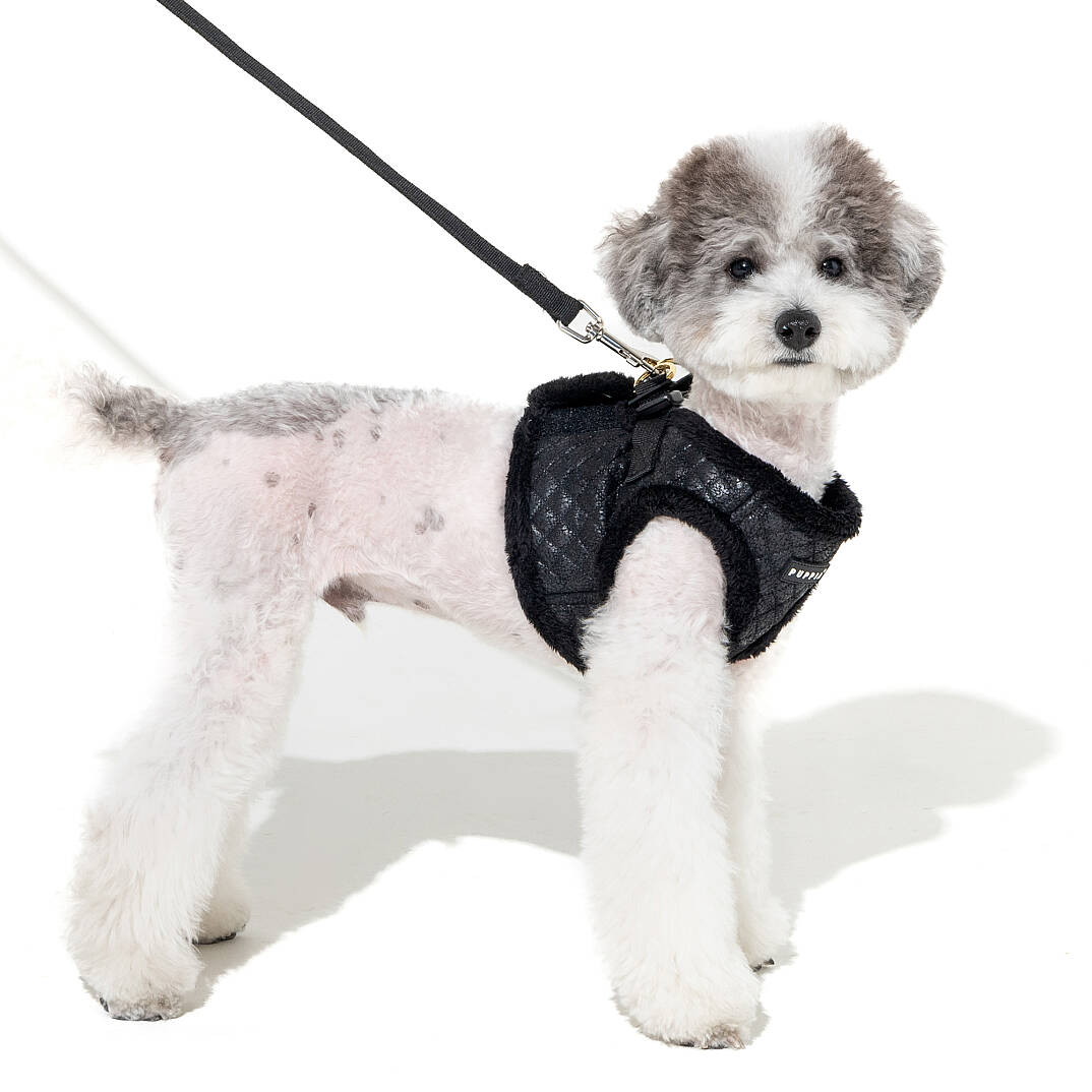 DOUGLAS HARNESS B/BLACK/PAYD-HB2137-BK - 5