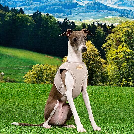 ECO TERRA B HARNESS / BEIGE - 4